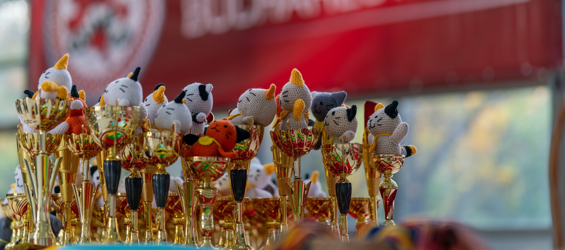 Bucharest Feis 2019